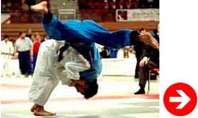 judo techniques de mains et de bras