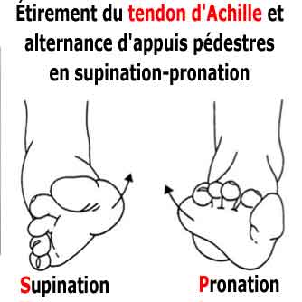 étirement du tendon d'achille et alternance pronation supination du pieds