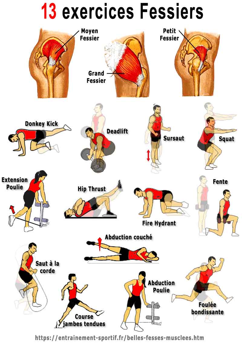 affiche des 13 exercices pour les muscles fessiers