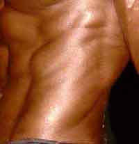 muscles abdominaux obliques 