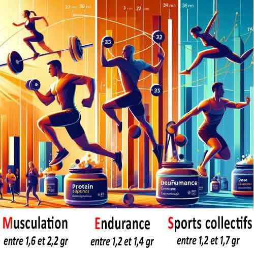 besoins spécifiques en protéines selon la discipline sportive
