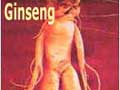ginseng complement alimentaire