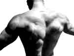 dos muscle avec une barre de musculation