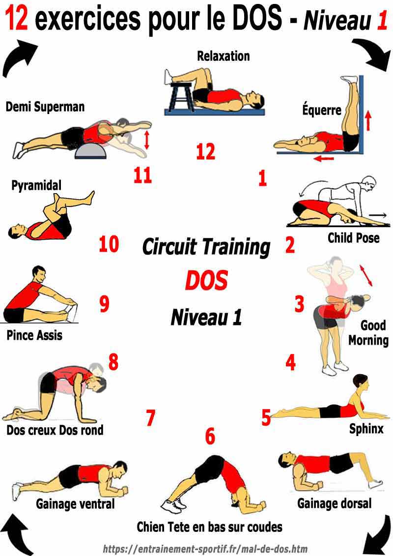 circuit 1 des 12 exercices pour le dos 