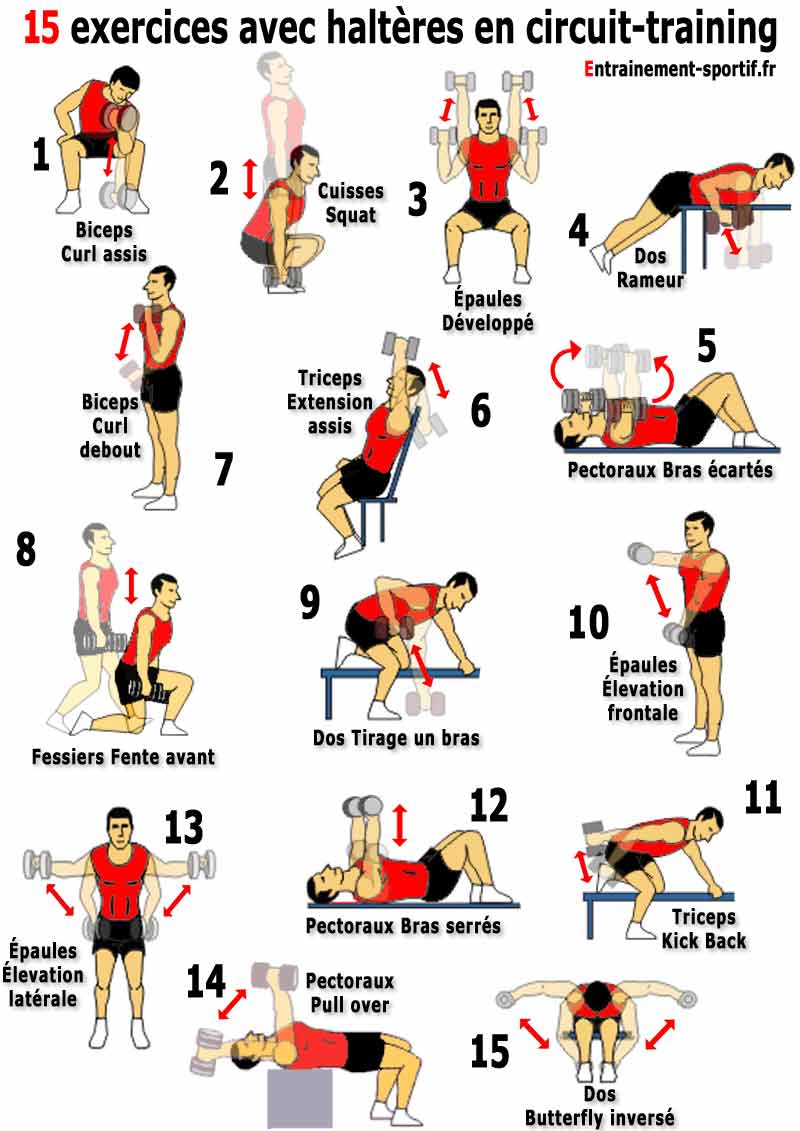 15 exercices avec haltères en circuit-training full body