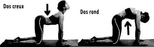 exercie alternant la position dos plat dos creux contre la douleur au dos