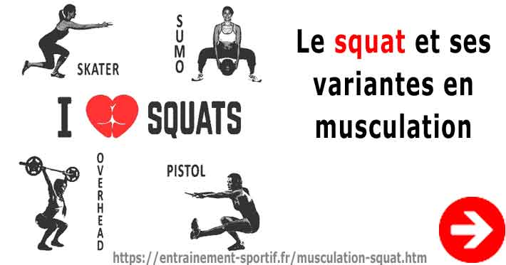 squat exercice de musculation