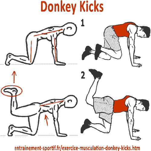 exercice de musculation pour les fesses Donkey kicks