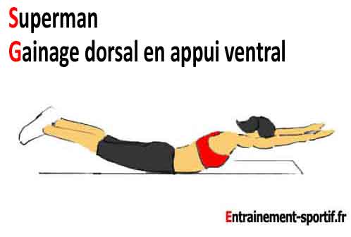gainage dorsal en appui ventral , exercice superman