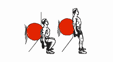 homme faisant un exercice avec ballon de gym et haltères pour les fesses
