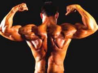 Des muscles dorsaux forts réduisent les tensions douloureuses