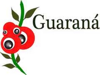 guarana pour nutrition en musculation