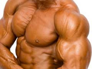 comment avoir de masse musculaire