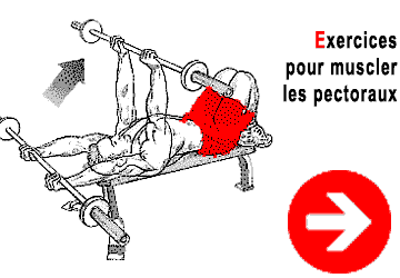 pull over exercice de musculation