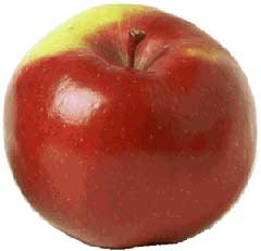 fructose de la pomme