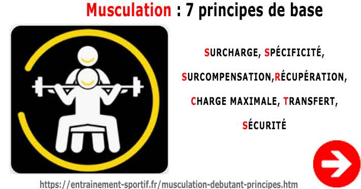 7 principes fondamentaux pour bien s'entraîner en musculation