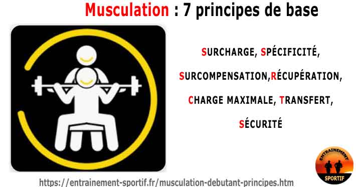 7 principes fondamentaux pour bien s'entraîner en musculation