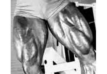 muscles quadriceps hypertrophiés