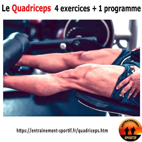 musculation pour le quadriceps : le leg extension