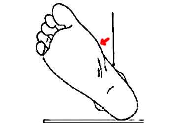 étirements loge interne tibia par rotation externe du pied