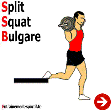 split squat bulgare
