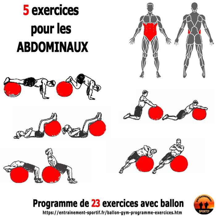5 exercices avec ballon de gym pour les Abdominaux