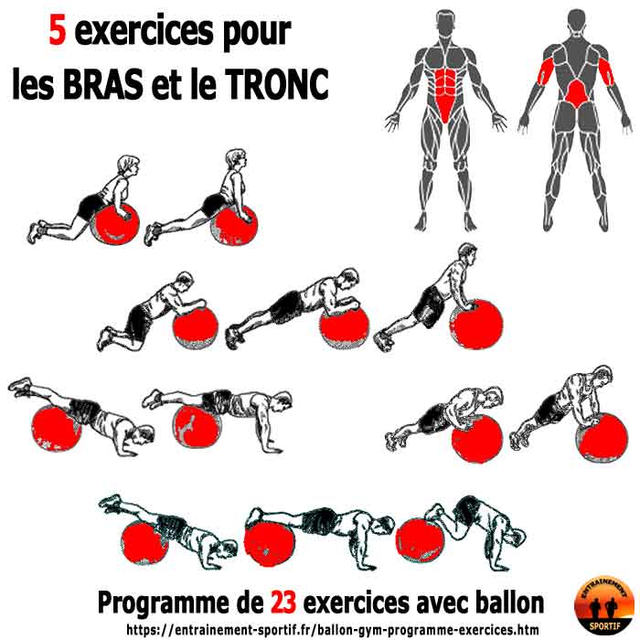 5 exercices avec ballon de gym pour les bras et le tronc