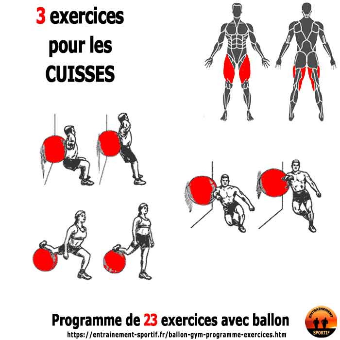 3 exercices avec ballon de gym pour les Cuisses