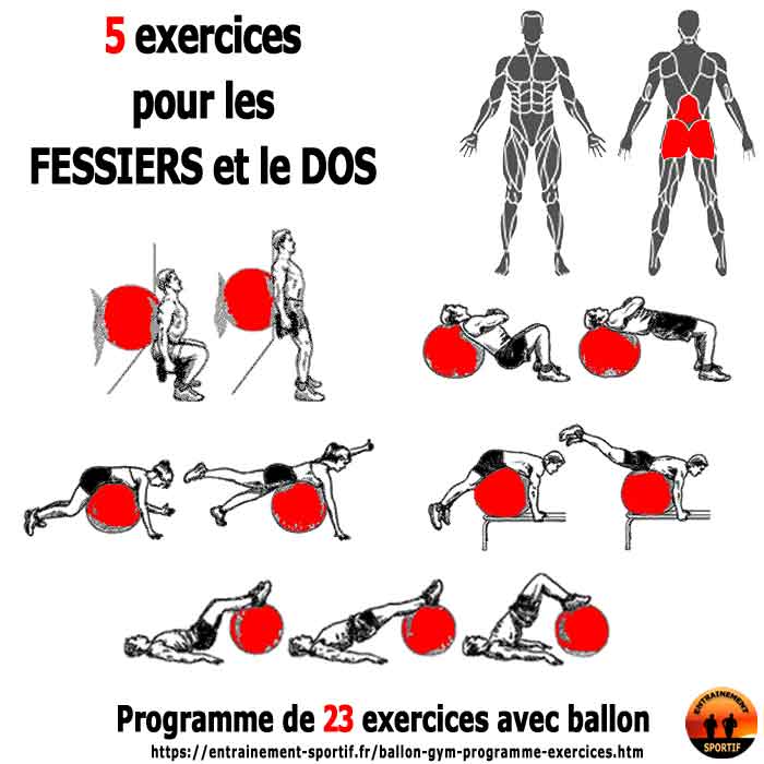 5  exercices avec ballon de gym pour les fessiers et le dos