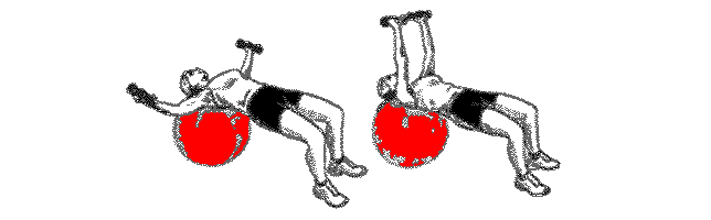 exercice sur ballon de gym pour les pectoraux