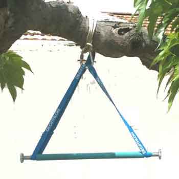 barre de traction sur une branche d'arbre avec des poignées de traction