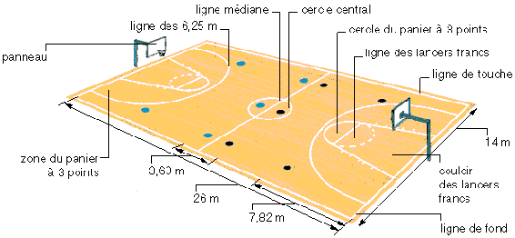basket dimensions du terrain