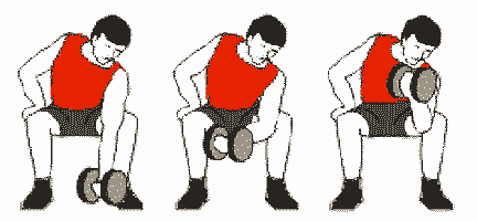 biceps curl exercice de musculation avec un haltère