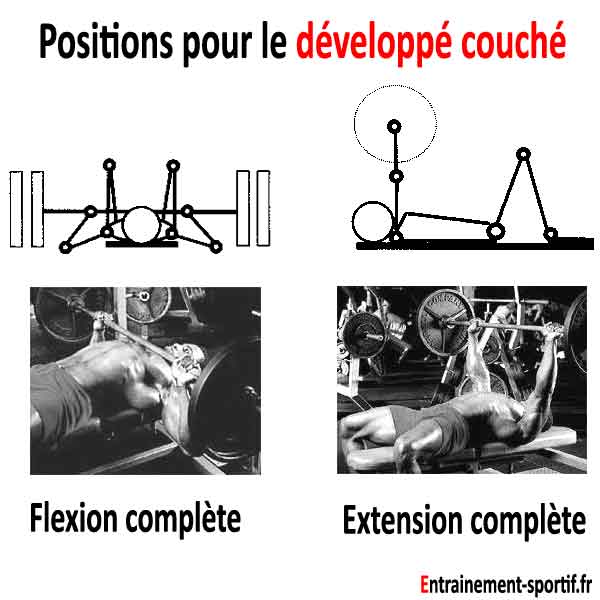 les positions du développé couché en flexion et en extension complète des bras