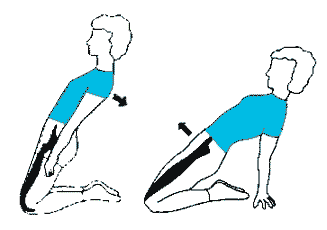 exercice d'étirement des quadriceps pour améliorer la détente verticale