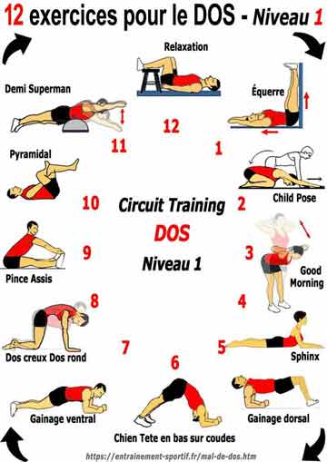 borstel vertraging vieren 5 circuit-training de 12 exercices sans matériel