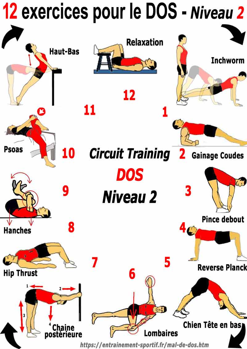 circuit 2 des 12 exercices pour le dos 
