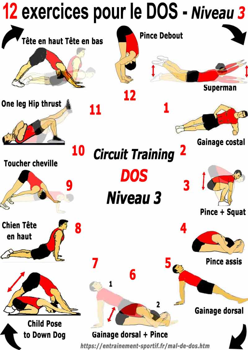 circuit 3 des 12 exercices pour le dos 