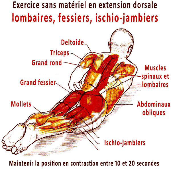 exercice pour le dos sans materiel en extension dorsale