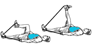 exercice avec bande elastique pour muscler le quadriceps