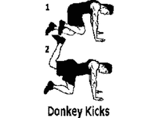 exercice de musculation Donkey Kicks