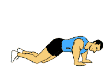 exercice pour maigrir pompe genoux
