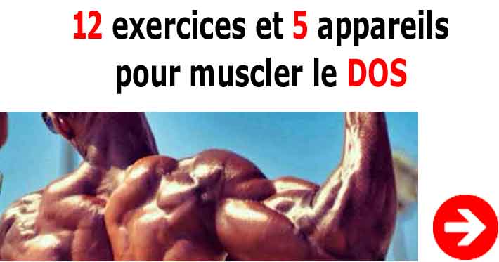 exercices pour muscler le dos