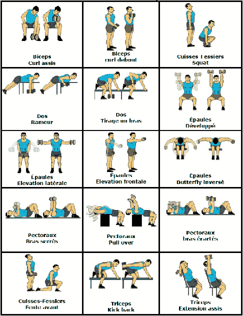 exercices de musculation avec haltères