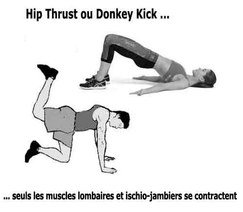 Avec un syndrome des fesses plates seuls les lombaires se contractent durant l'exécution du hip-thrust et du donkey kick