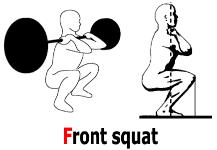 front squat exercice parfait pour les quadriceps et les dorsaux