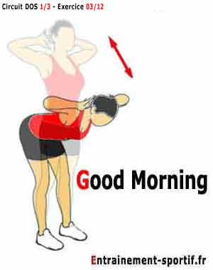 good morning pour le renforcement musculaire du dos 