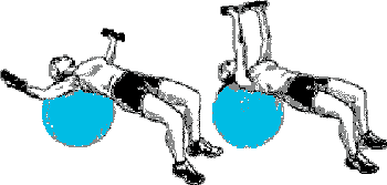 exercice haltères avec ballon de gym 