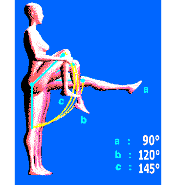 flexion de la hanche