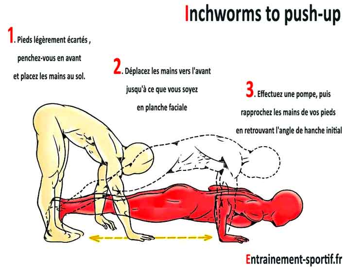 une variante de pompe : inchworms to push 
